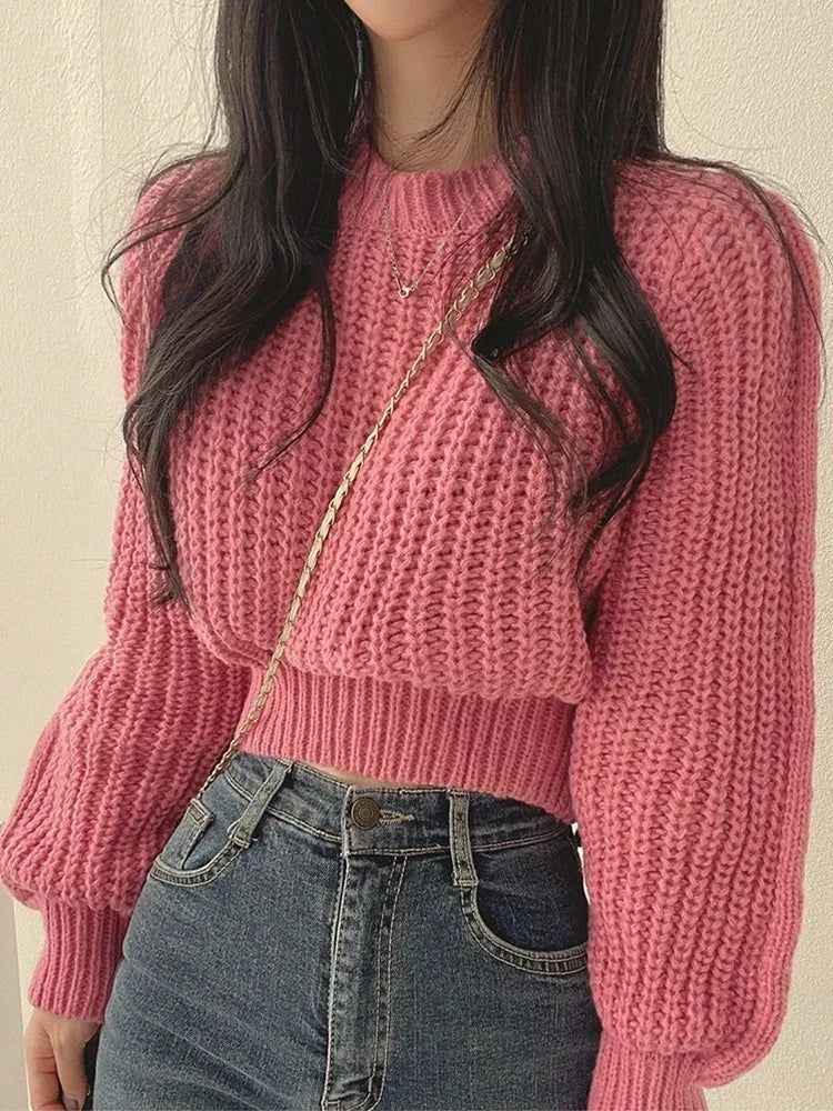 Roselle Cozy Knit Sweater